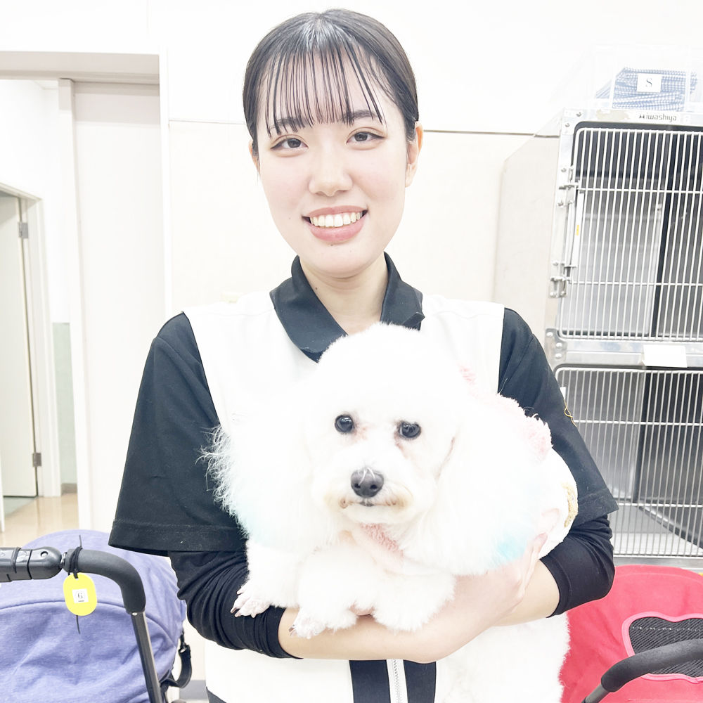 卒業犬たちが来てくれました♪